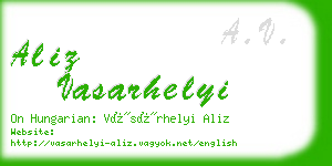 aliz vasarhelyi business card